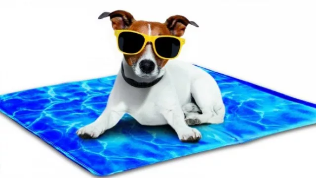 ‘Gadgets’ para disfrutar en verano