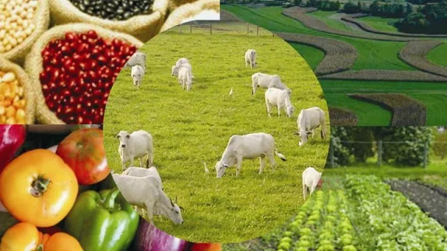 La economía local “se mueve” pero sin muchos cambios... según Dionisio Borda