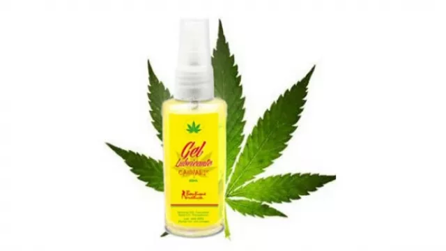 ¿Uruguay ahora exportará cannabis?