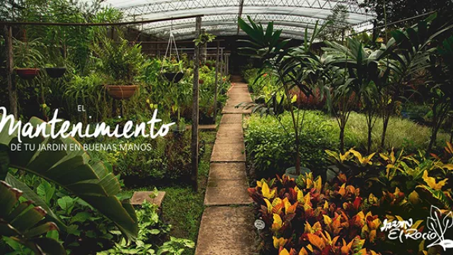 Especializados en mantenimiento y paisajismo de jardines.