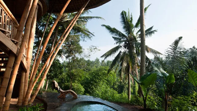 Los habitantes de Green Village pueden deleitarse de una naturaleza exuberante.