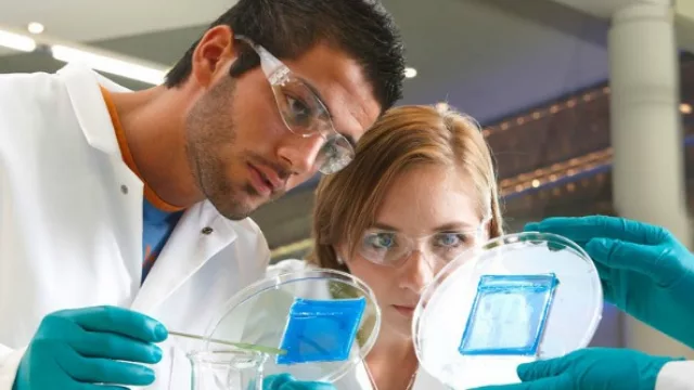 Bayer invita a emprendedores digitales a sumarse a la Grants4Apps por € 50.000