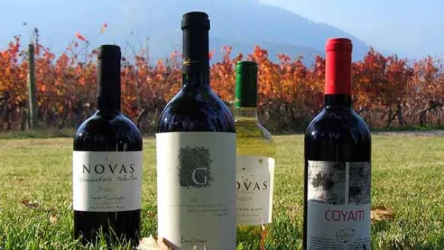 Tours para conocer la Bodega Emiliana