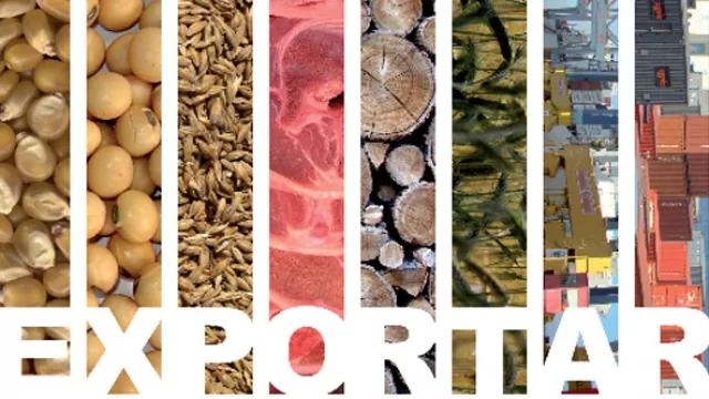 Brasil el gran competidor; Argentina e India la gran esperanza para repuntar las exportaciones