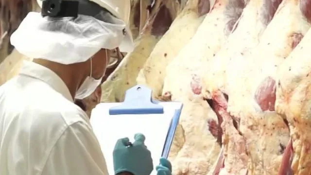 Otro que se suma: Egipto abre su mercado a la carne y ganado en pie de Paraguay