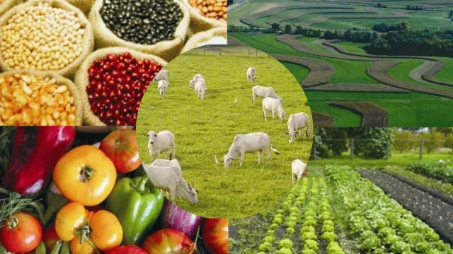 Con miras a impulsar el sector, TOTVS presentó un software para los agronegocios