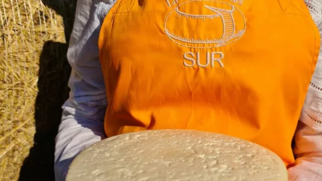La Quesera del Sur: emprendedora de Santa Librada, Misiones se destaca por su producción de queso Paraguay 100% artesanal