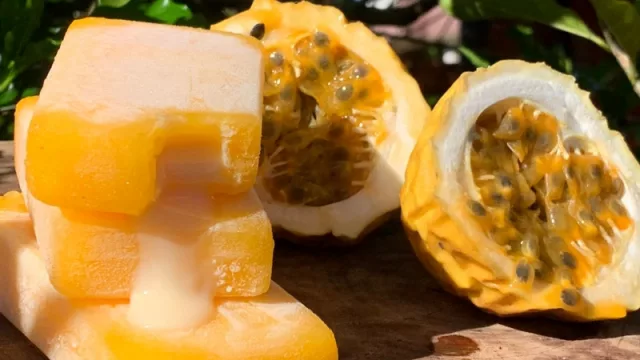 Desde CDE: Gugas produce 30.000 paletas al mes y 1.000 kilos de helados artesanales