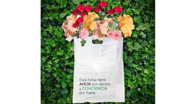 Palo y a la bolsa: Cuatro empresas eco friendly que elaboran empaques biodegradables