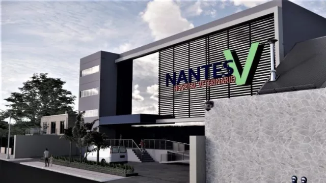 Atención de lujo: Nantes Hospital Veterinario prepara una moderna nueva sede para 2025