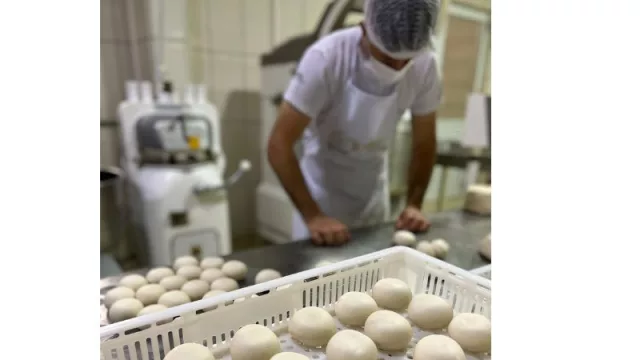 Desde Santa Rita: D’Italia Molinos Harineros produce más de 200 toneladas de harina por día (a un paso de exportar)