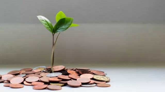 “Un error habitual de los emprendedores es usar sus recursos personales en la empresa y viceversa”