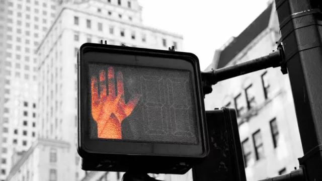 Europa cierra la puerta: ¿Cómo impactará decisión de UE de no comprar productos de áreas desforestadas?