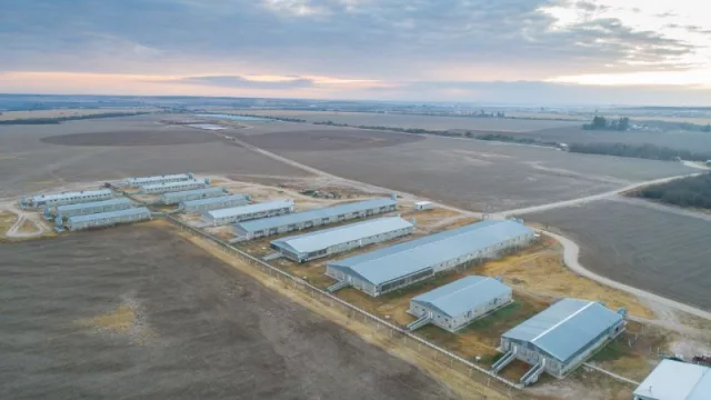 ¡Clap, clap para Porcal! (la primer granja argentina en certificar bienestar animal)