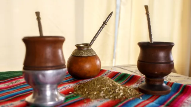 ¿Qué marca de yerba orgánica preferís?
