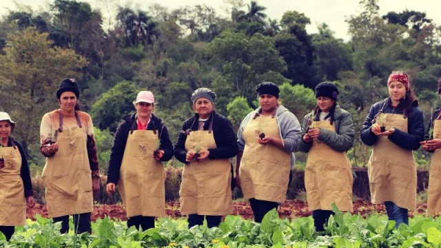 En Natalio la Reserva DejaVú produce yerba mate bajo monte (y con ello recupera suelos degradados)