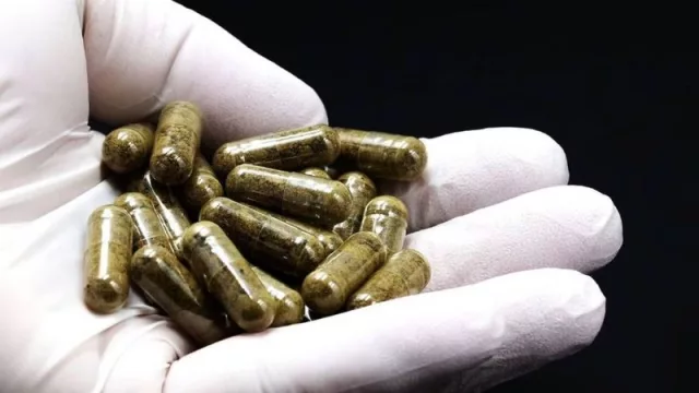 Por qué cada vez más personas se inoculan microbiota intestinal (de qué se trata el trasplante de materia fecal)