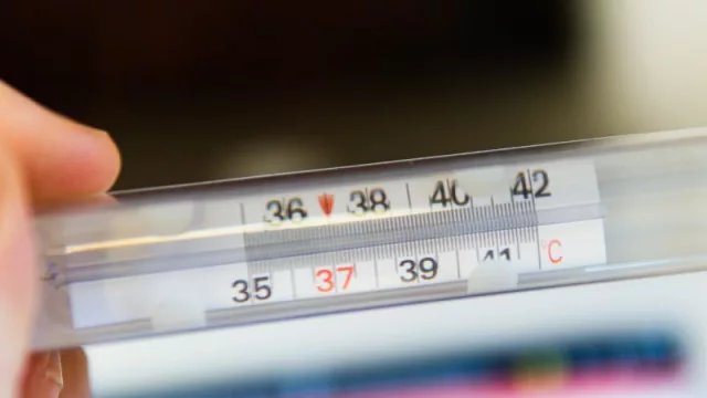 Chikungunya: “El 95% de los casos terminará apagándose en un periodo no mayor a tres meses”