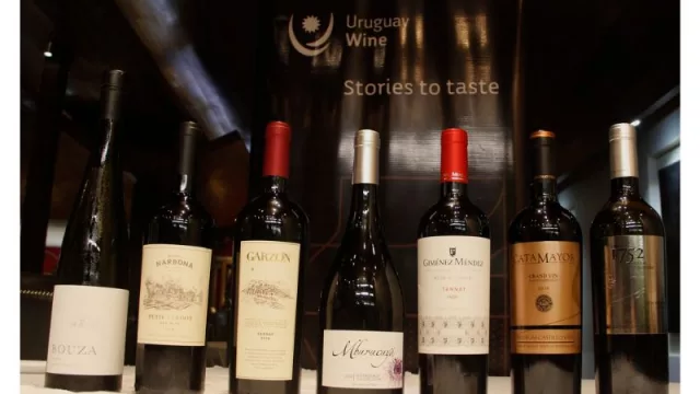 En el Día del Tannat celebramos en Paraguay el vino uruguayo