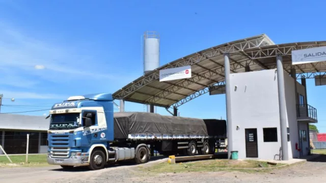 A la carga: Boreal Puerto Seco se instala en Paraguay para servicio de depósito (de mercaderías y transportes)