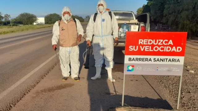 Gripe aviar: Focos confirmados y nuevos reportes de sospecha en análisis (consumo de pollo y huevos es seguro, aclaran)