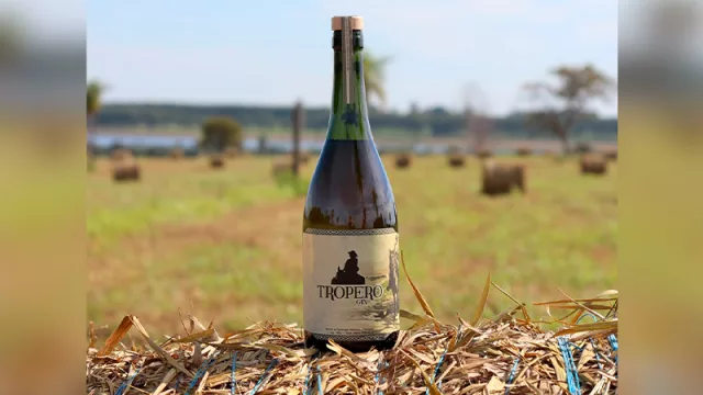 Desde Santiago: Tropero Gin plasma la tradición misionera en una bebida artesanal