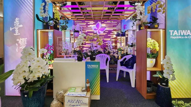 Taiwán tiene su propio pabellón, donde vas a encontrar las infaltables orquídeas, platos típicos, entre otros.