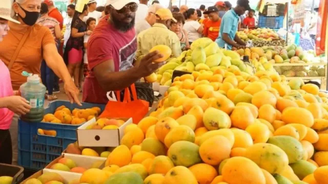 El rey del mango es Miami: el delicioso fruto que unifica y caracteriza la ciudad de la diversidad