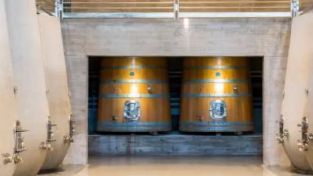 Si de viñedos UY se trata… (Garzón y Bouza entre los 50 mejores del mundo)