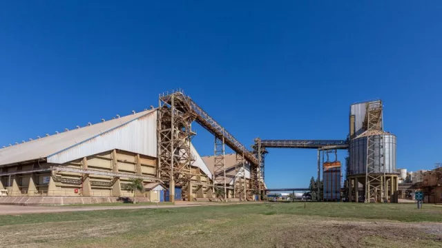 Actividad de procesadores de oleaginosas se mantiene por debajo del promedio (siguen los efectos de la sequía)