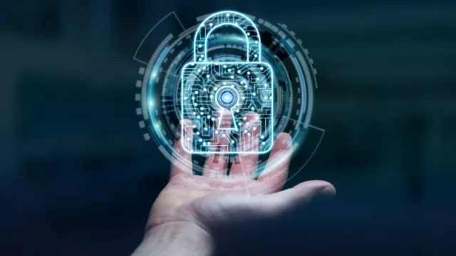 La situación de Air Europa pone de manifiesto el creciente problema de los ciberfraudes, que afectan a un número creciente de empresas en España