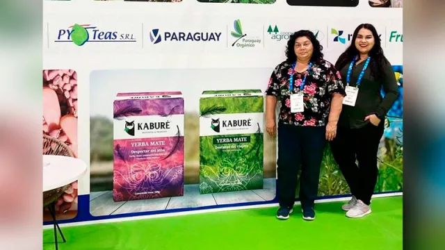 Ka'a he'ê endulzó a alemanes: PY Teas cerró negocios por alrededor de US$ 500.000