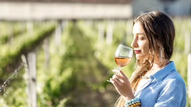 Con la copa cada vez más llena (enoturismo en UY generó ingresos por US$ 11 millones)