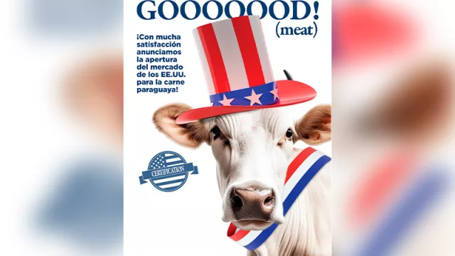Here we go: Paraguay tiene el OK del USDA para exportar carne vacuna a Estados Unidos