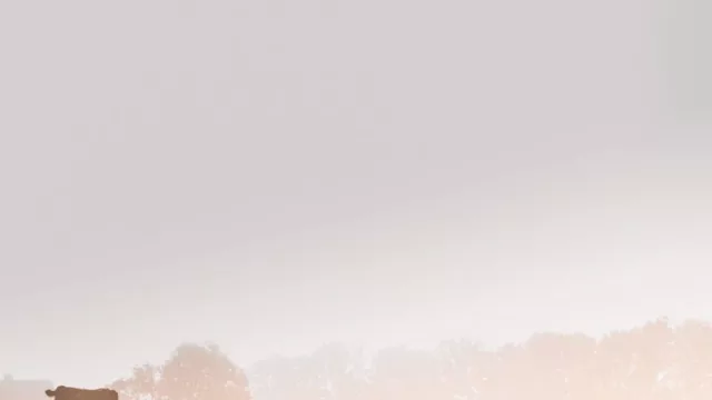 Que UY vaya haciendo los deberes… ambientales (con el préstamo de US$ 350 millones del BM)