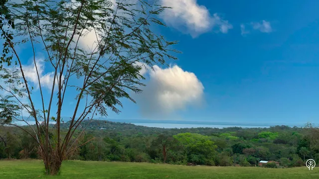 Los Árboles Residence: una ubicación privilegiada en San Ber (y solo 12 condóminos)