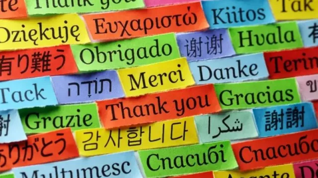 Are you talking to me? Estos son los 5 idiomas que los argentinos eligen estudiar en Duolingo