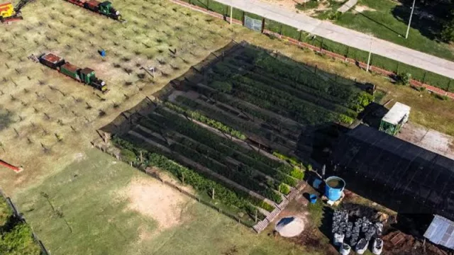Chaco Vivo apunta a mantener 187.916 hectáreas de bosque chaqueño (y preservar especies autóctonas)