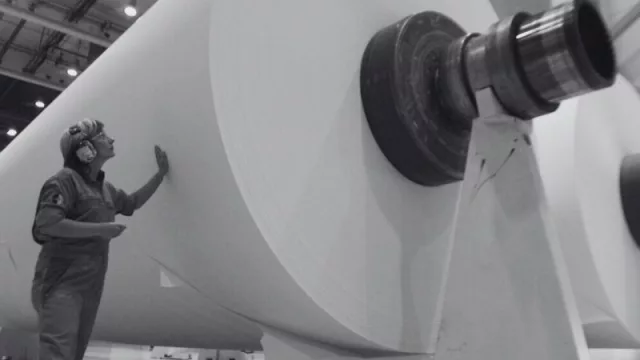 Subirse al barco de la celulosa y la soja (proyección de exportaciones para 2024 marca un 14% de crecimiento)