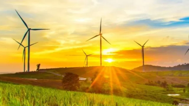 La sostenibilidad como oportunidad de negocio (UY potencia sus industrias en esta línea)