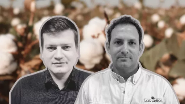 Desafíos climáticos y estrategias innovadoras: ¿Cómo enfrenta el sector algodonero la disminución en la producción?