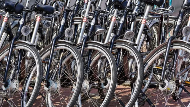 ¿En cuál de estos negocios comprarías tu bicicleta?