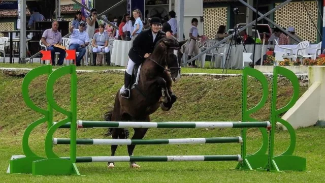 Cabalgando juntos: Equus Róga impulsa la equitación y las ventajas del vínculo entre jinete y caballo
