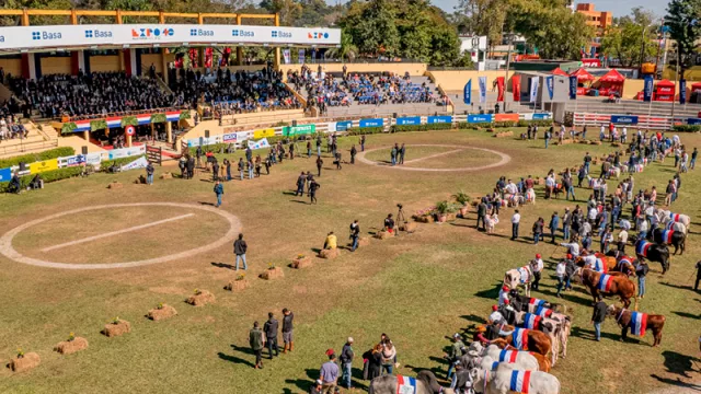 ¿Cuál es la actividad que te lleva a visitar la Expo?
