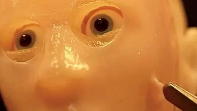 Una visión del futuro: Japón crea piel viva para robots humanoides