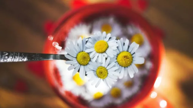 Se acerca el Día Nacional del Poha Ñana, así que queremos saber
