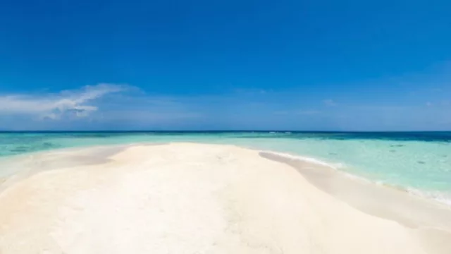 Fort de Soto: un santuario de belleza natural para explorar (y que seguro no conoces)
