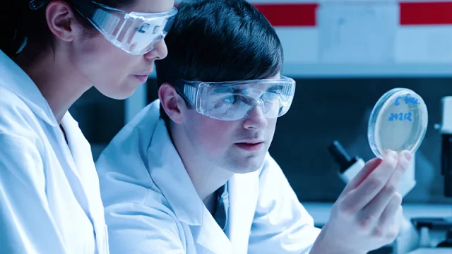 A ciencia cierta: Paraguay debería invertir entre US$ 40 y US$ 50 millones para optimizar investigaciones científicas