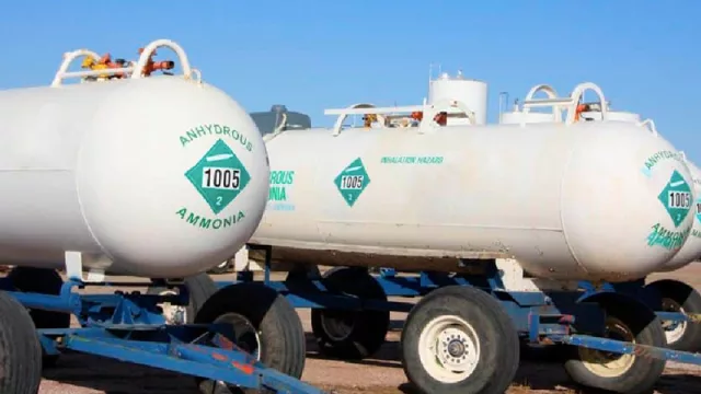 Go Energy apuesta todo al verde: US$ 500 millones para producir amoníaco en Paraguay