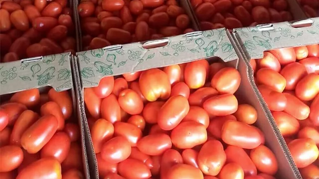 Productos paraguayos conquistan el interés argentino: buscan concretar nuevos envíos para el 2025